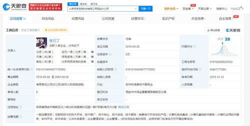 計算機系統(tǒng)集成服務(wù)的核心價值與實踐應(yīng)用